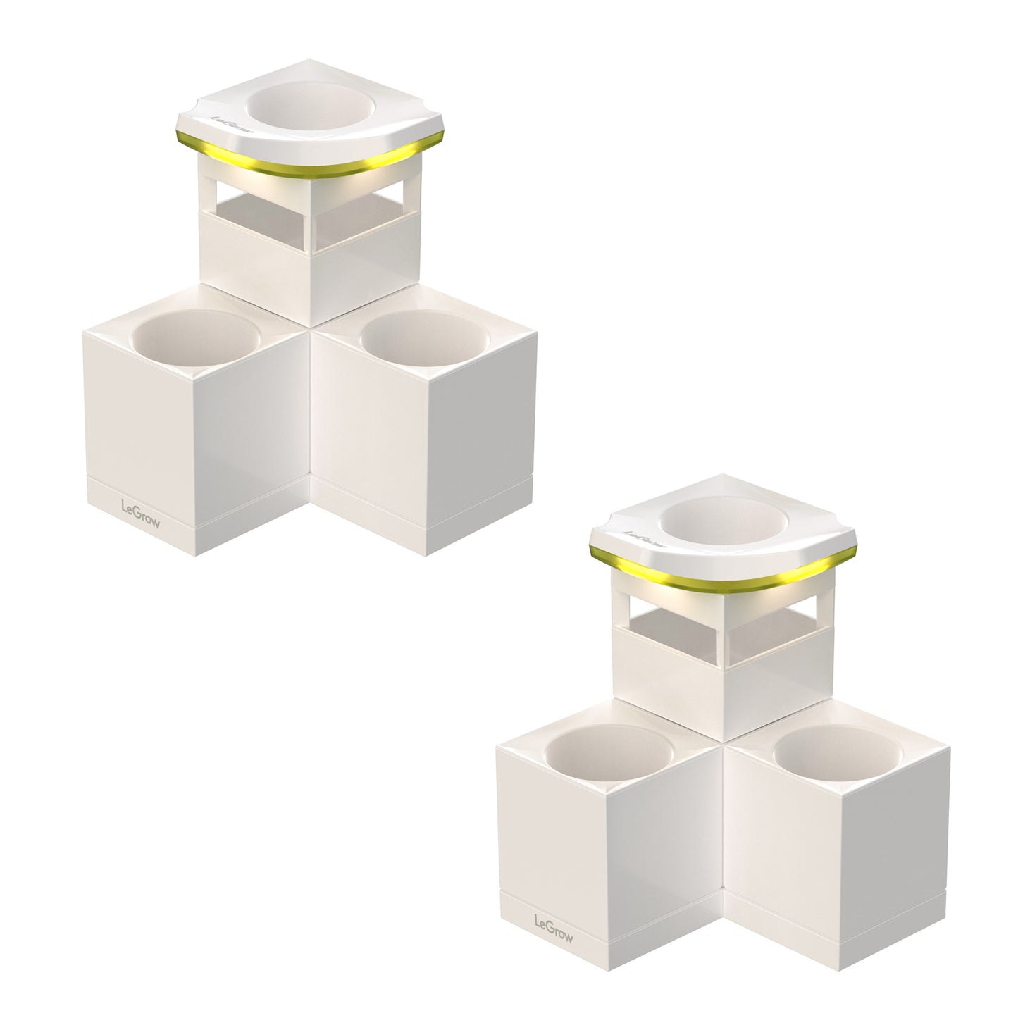 Venus flytraps Carnivorous Garden |  LeGrow 10226