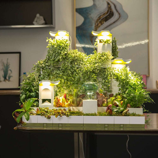 Rainforest  |  LeGrow 10212