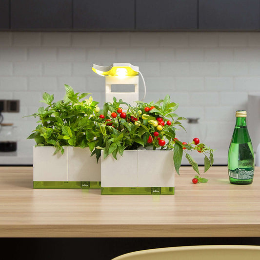 LeGrow Herb Garden (Small)  |  LeGrow 10218