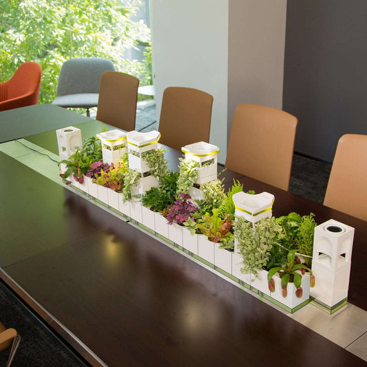 Long Table Garden  |  LeGrow 10213