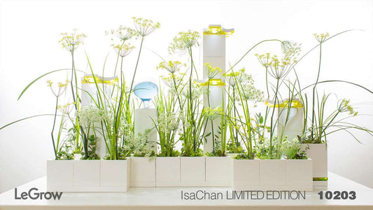 ISA Chan Florist I LeGrow 10203