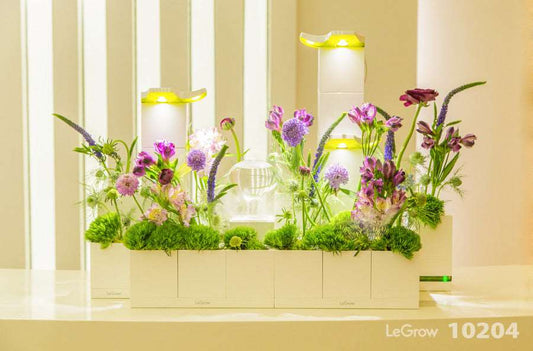 Reception Garden | LeGrow 10204