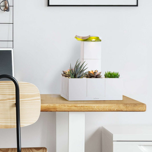 Michelle's Garden |  LeGrow 10222