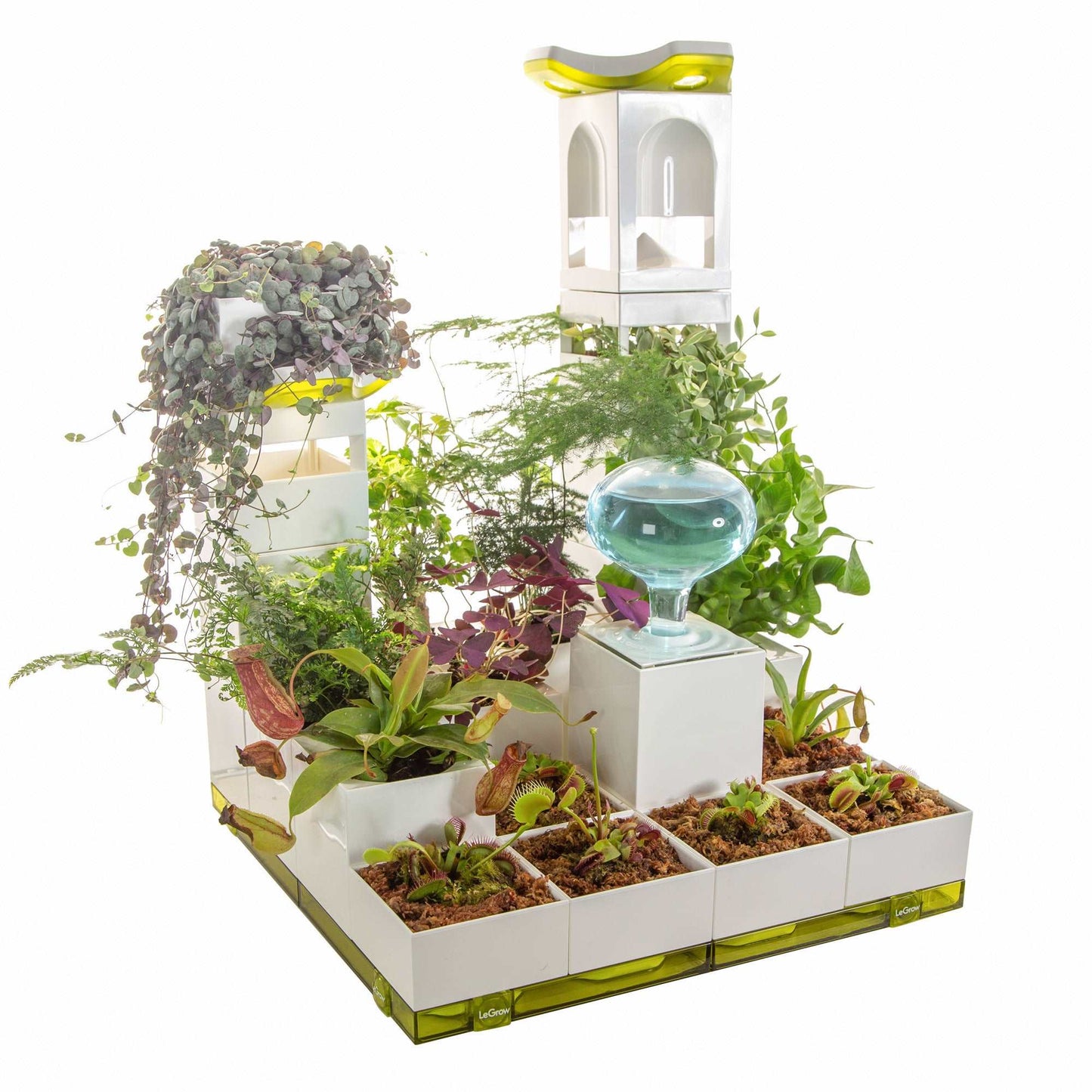 Zoey's Garden |  LeGrow 10224