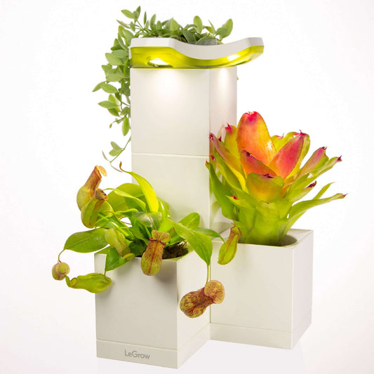 Indoor Planter with Grow Light, 10 Days Watering-Free | LeGrow - L
