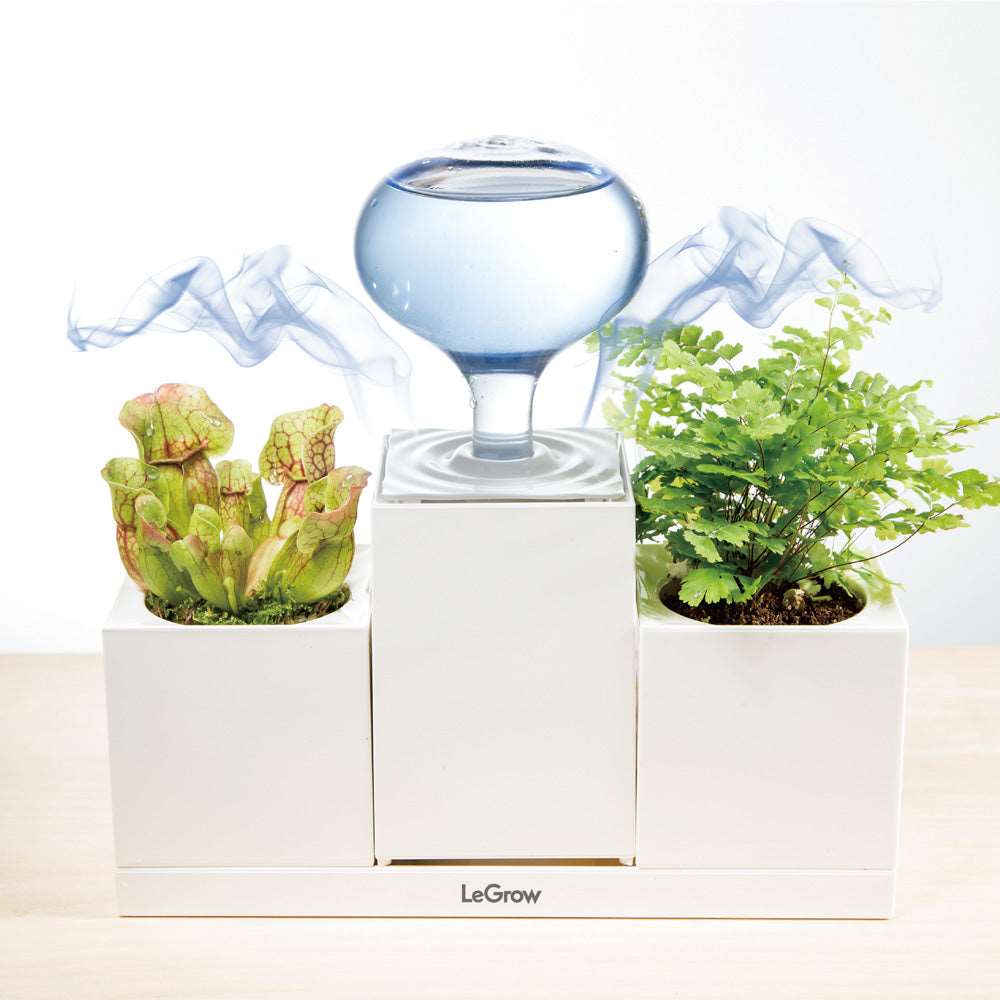 indoor planter set Planter Set with Humidifier and Tray | LeGrow