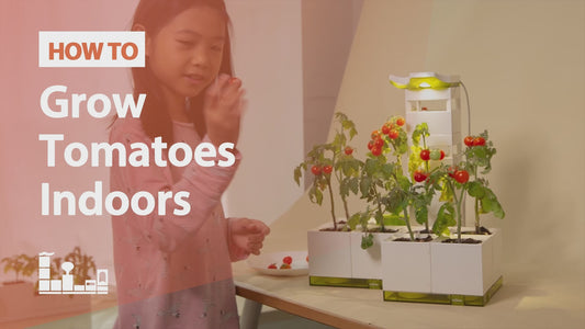 LeGrow Herb Garden (Small)  |  LeGrow 10218