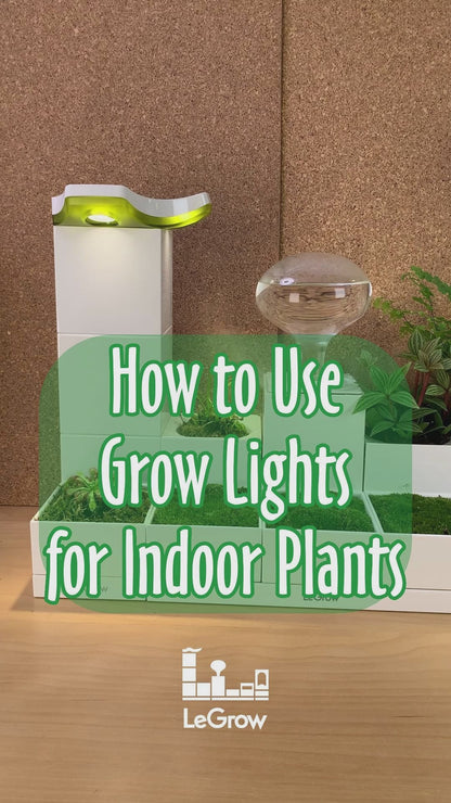 Indoor Planter with Grow Light, 10 Days Watering-Free | LeGrow - L