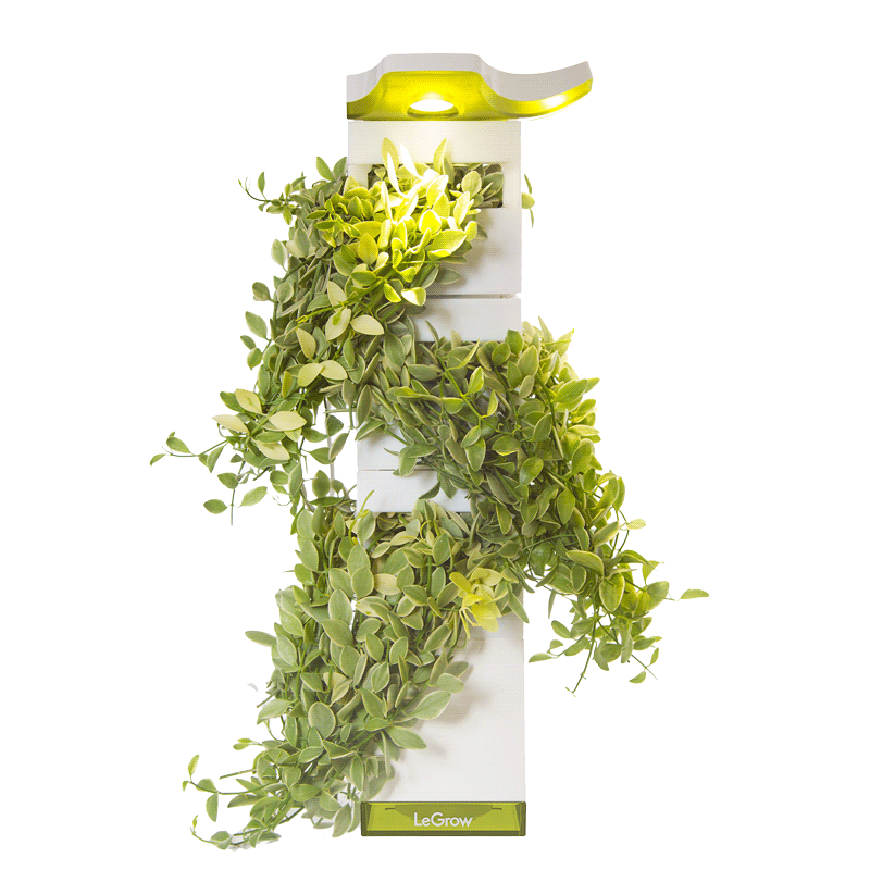 Vertical Garden | LeGrow 10220