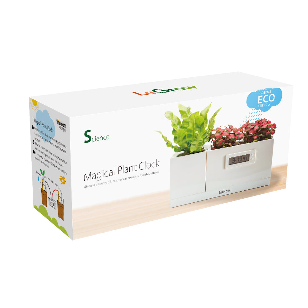 SCIENCE TOY plants make electricity for the clock | LeGrow -S