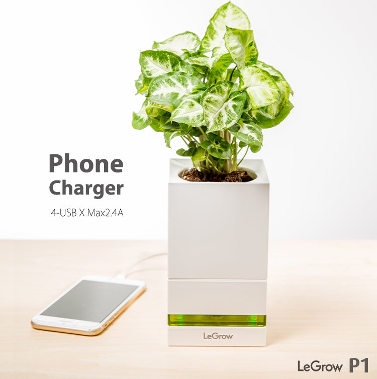 4-Port USB Charging Station with Planter | LeGrow - P1 Case Pack (12 Sets per Carton)