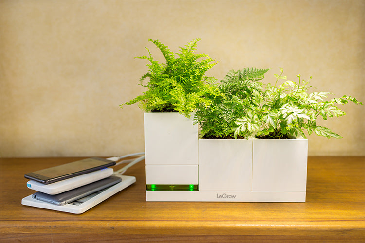 LeGrow 4-Ports USB Power Charging Station with 3 Pots on Tray,Global Adapter Plug