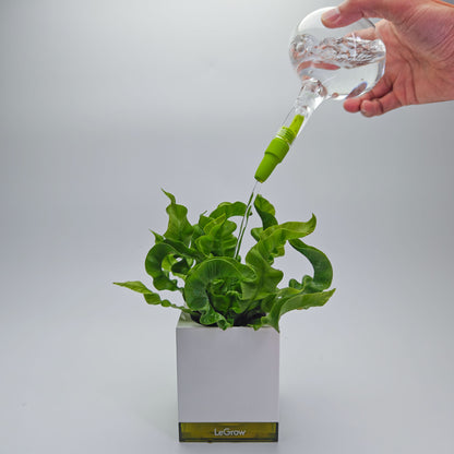 LeGrow Mini Glass Watering Can with Reservoir - Perfect Sprinkler for Watering Flowers and Plants