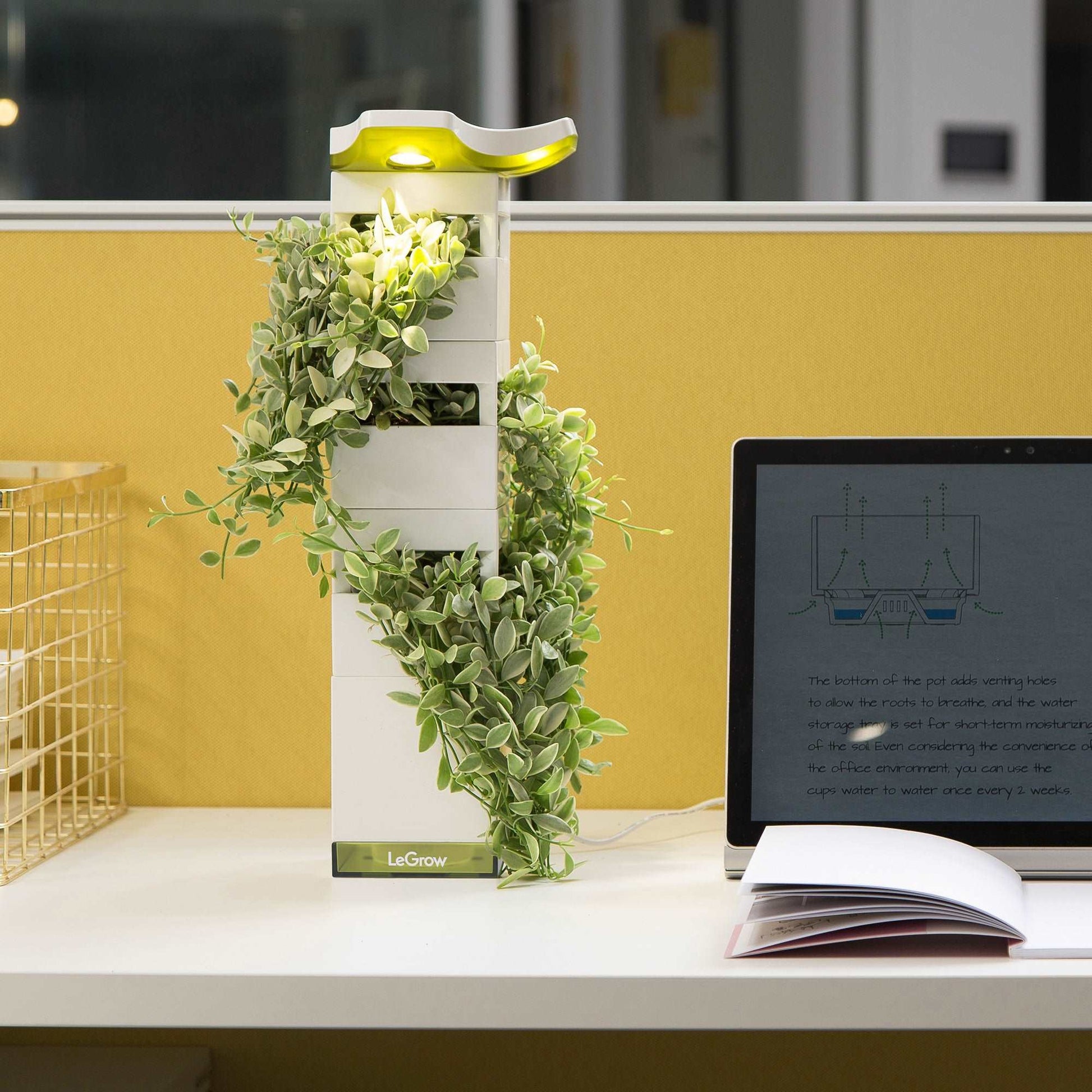 vertical garden with automatic watering of plants Vertical Garden