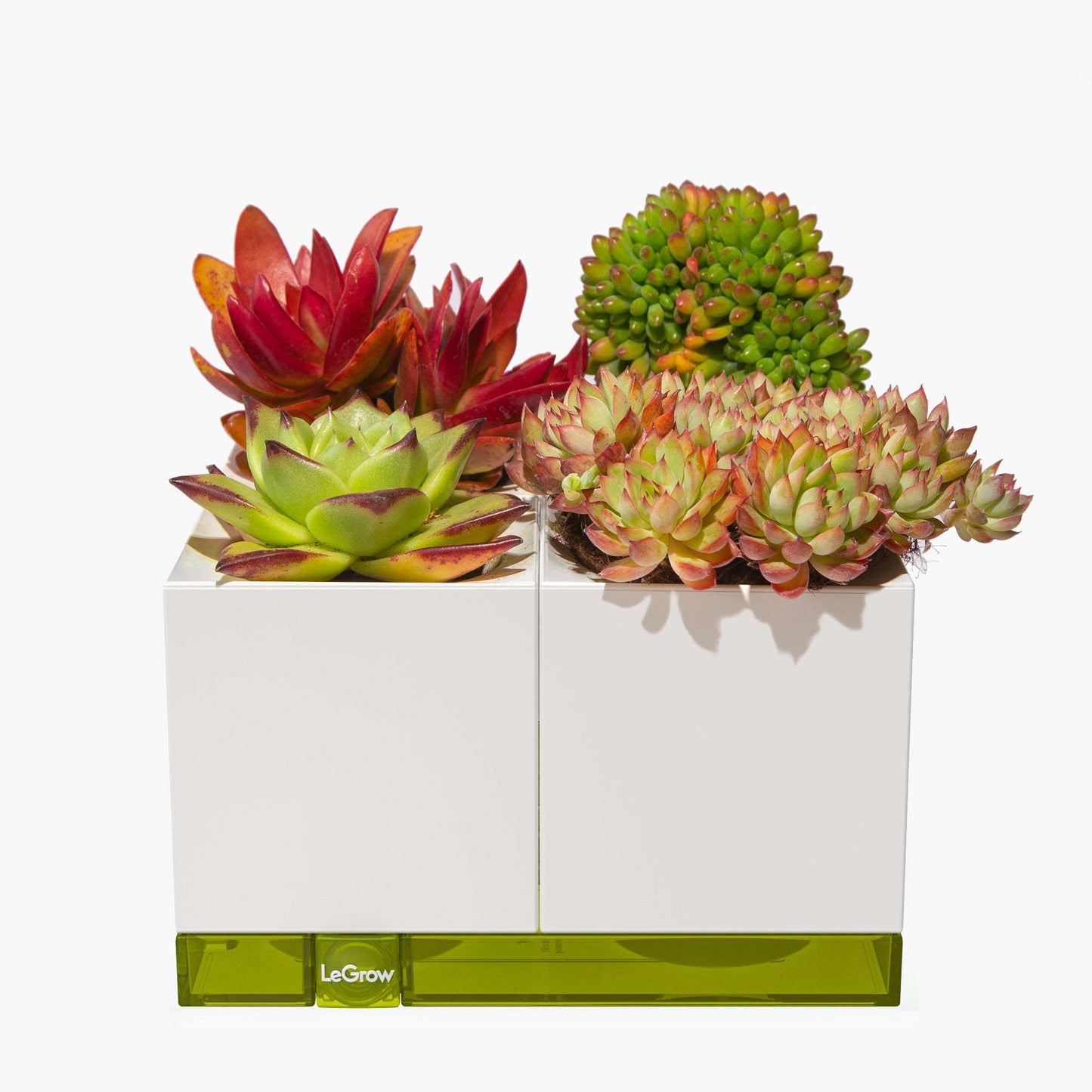 LeGrow Standard Planter with Self-watering System 7 Days Watering Free