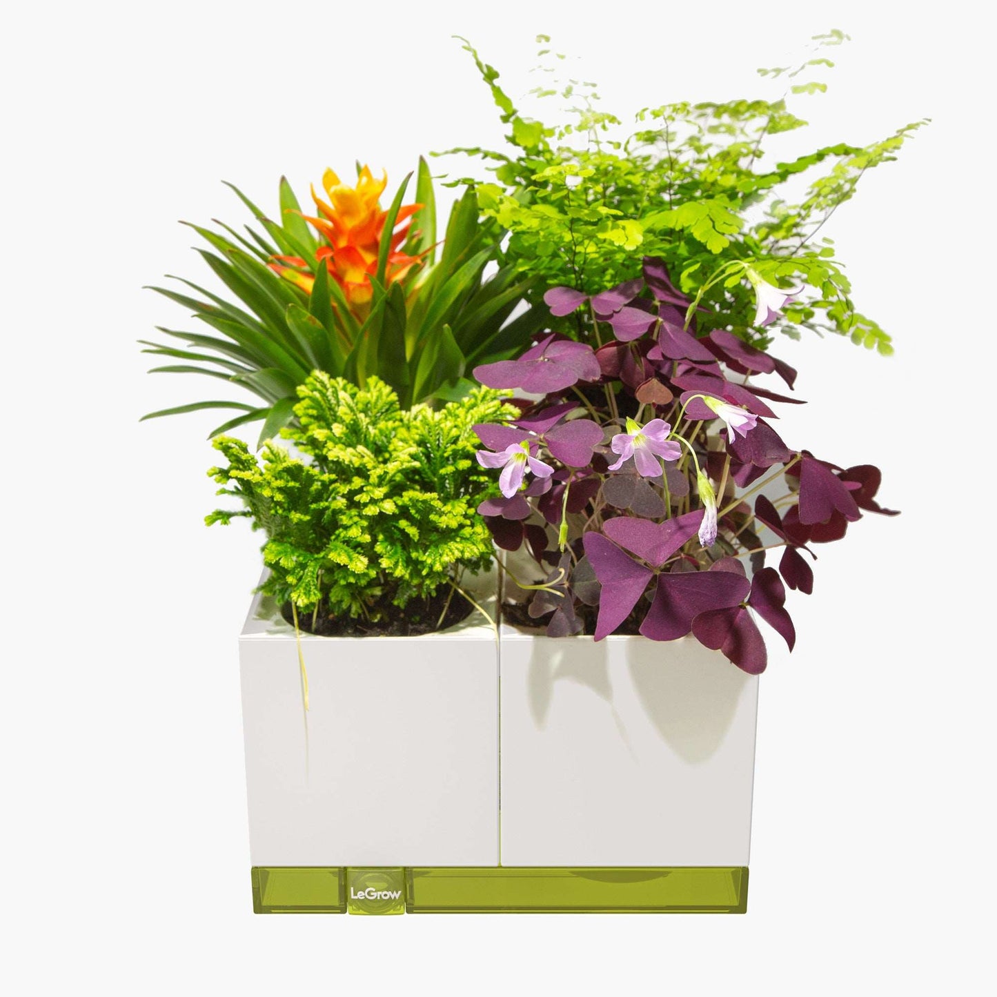 LeGrow Standard Planter with Self-watering System 7 Days Watering Free