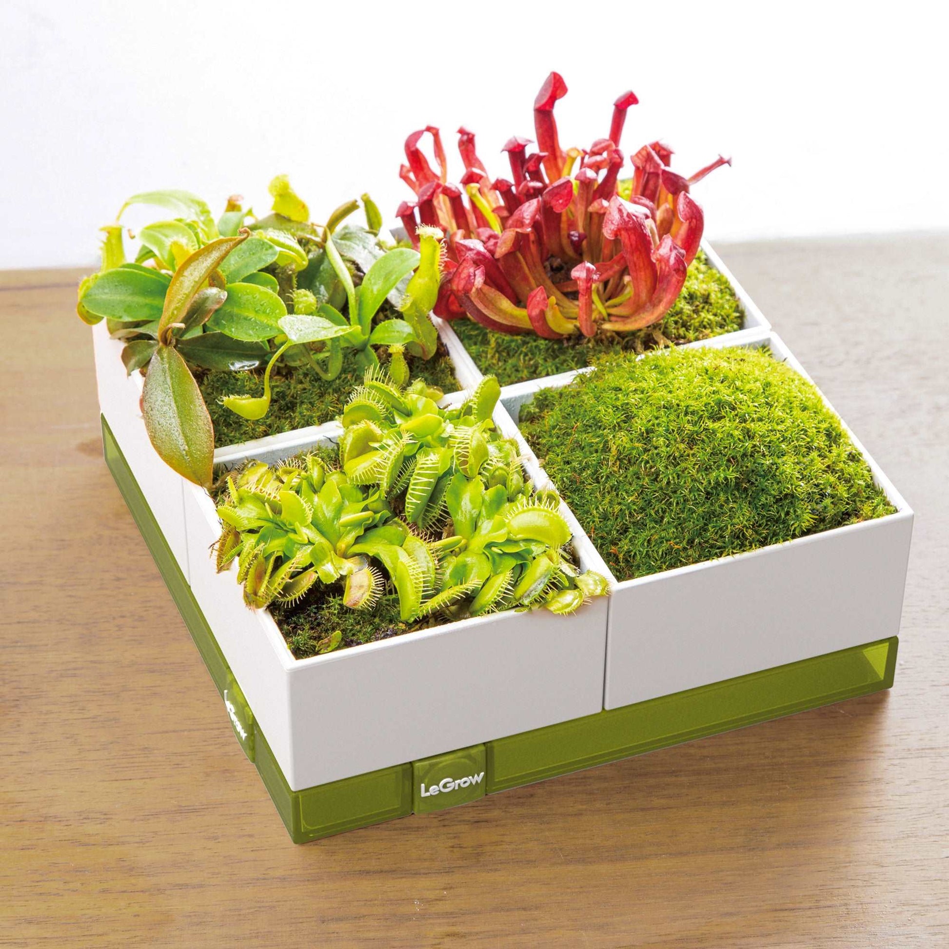 moss for plant pots Moss Pot with Tray, 7 Days Watering Free | LeGrow