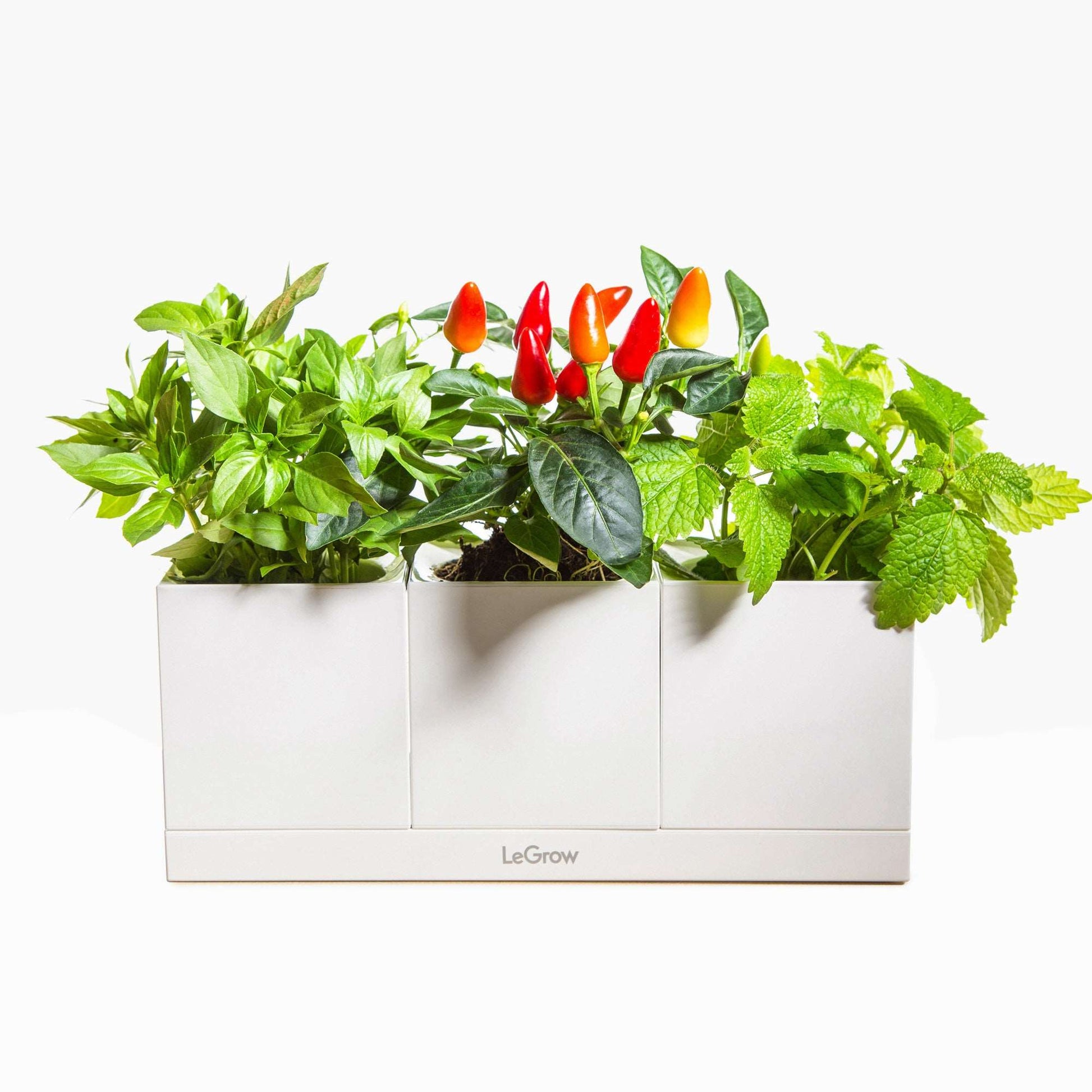 self watering indoor herb planter Windowsill Pot and Herb Planter, 7 Days Watering Free