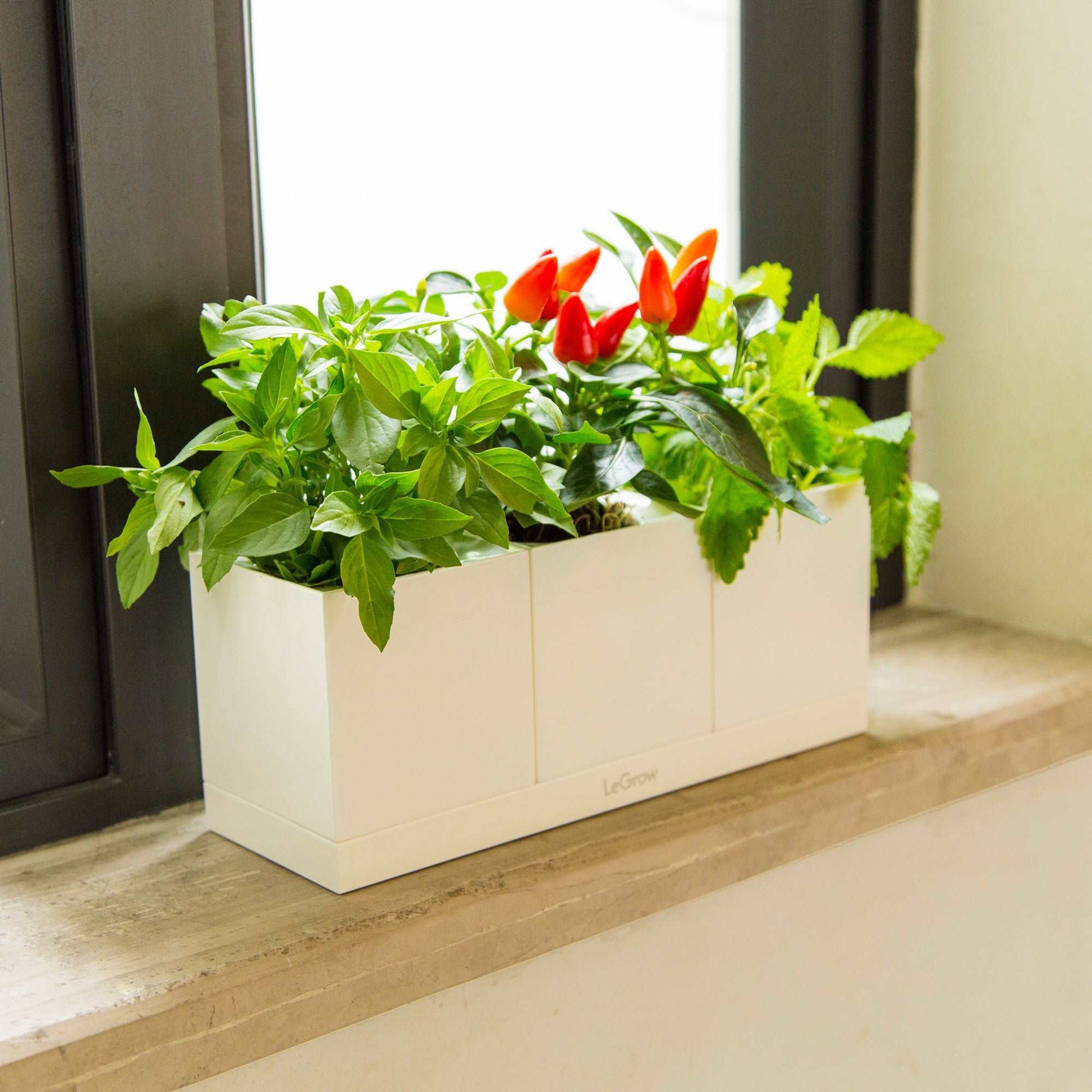 indoor windowsill planter Windowsill Pot and Herb Planter, 7 Days Watering Free