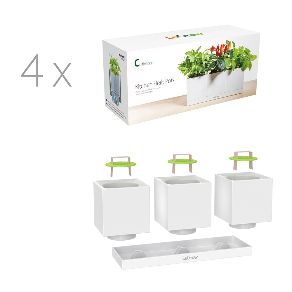 Windowsill Pot and Herb Planter, 7 Days Watering Free | LeGrow -C