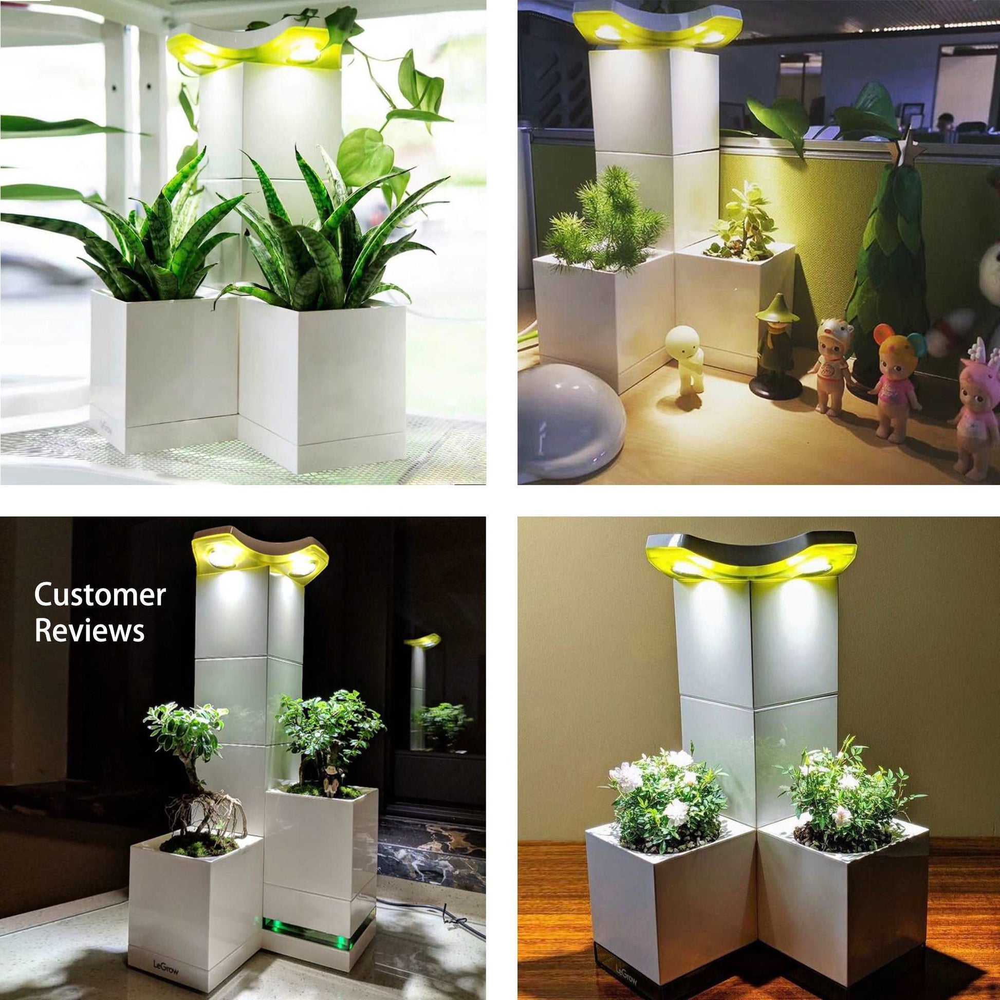 indoor planter with grow light Indoor Planter with Grow Light, 10 Days Watering-Free | LeGrow