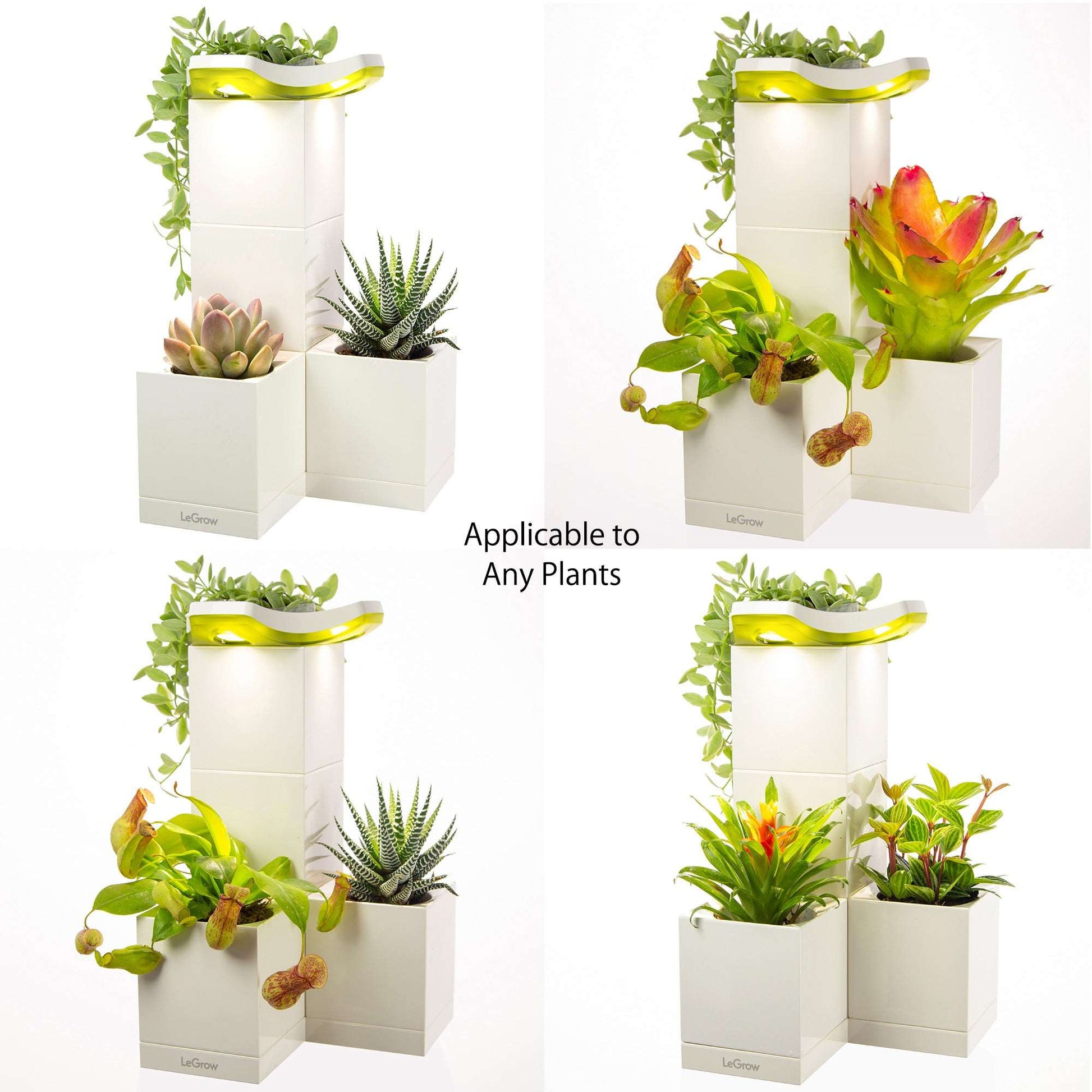 grow light planter Indoor Planter with Grow Light, 10 Days Watering-Free | LeGrow