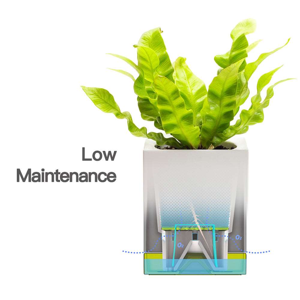 indoor plant self watering devices Starter Kit | Self-watering Pot for Indoor Plants
