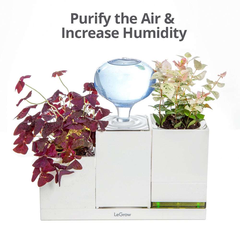 increasing humidity for indoor plants Pots with Humidifier for Indoor plants and 4-USB Plug | LeGrow