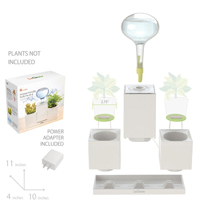 Planter Set with Humidifier and Tray |  LeGrow - H
