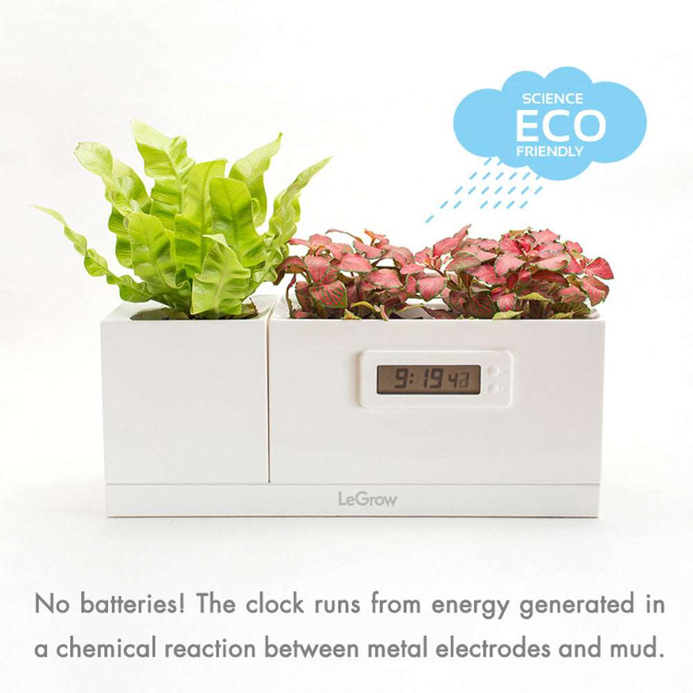 SCIENCE TOY plants make electricity for the clock | LeGrow -S