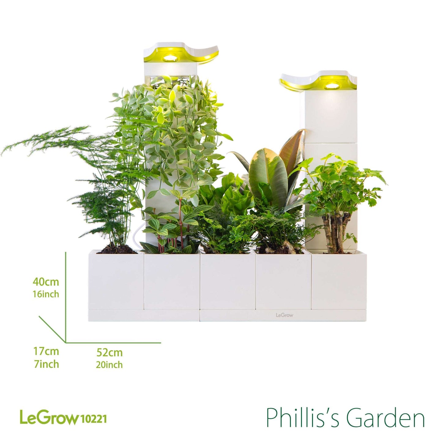 Phillis's Garden |  LeGrow 10221