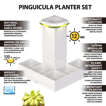 Pinguicula Garden | LeGrow 10223 Case Pack (9 Sets per Carton)