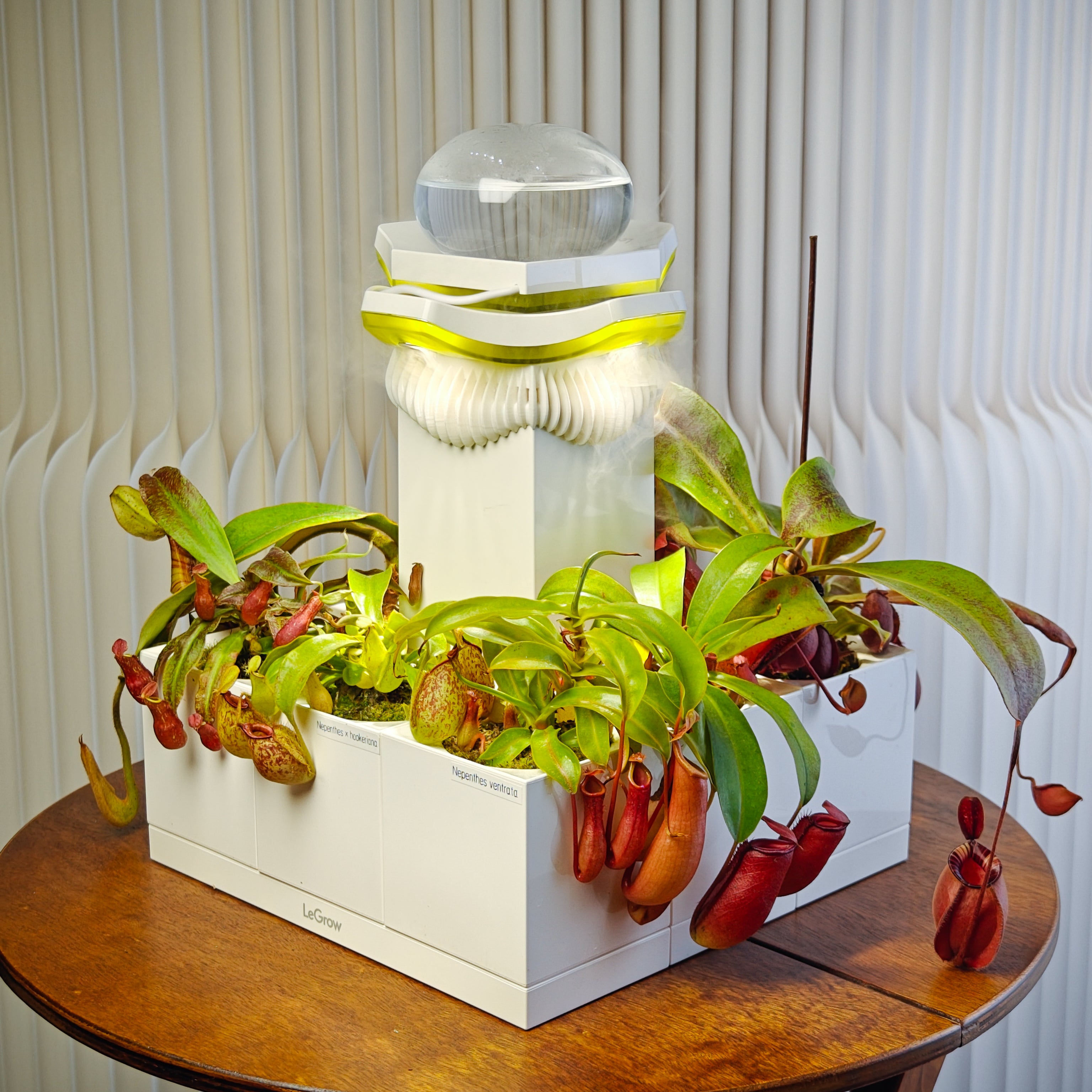 LeGrow10227V22000-2.jpg?v=