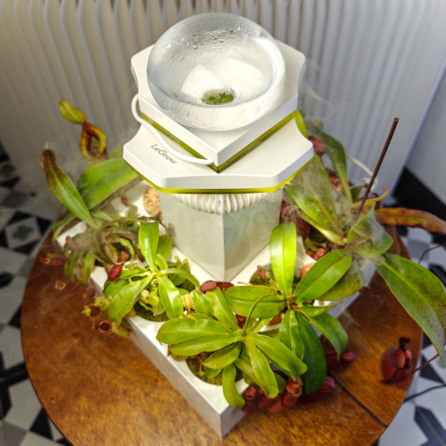 Nepenthes Carnivorous Garden |  LeGrow 10227