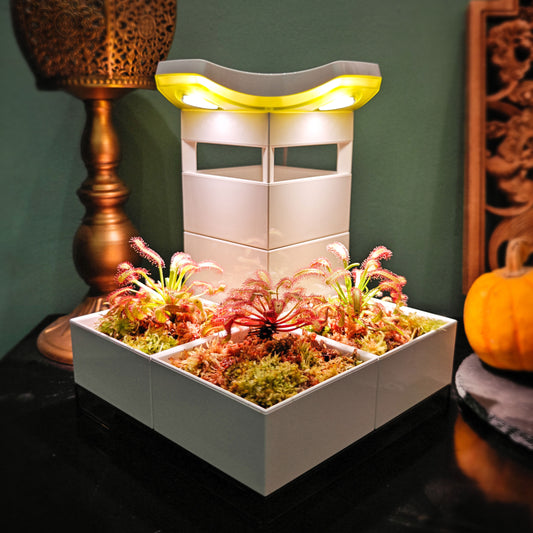 Sundew Garden |  LeGrow 10228