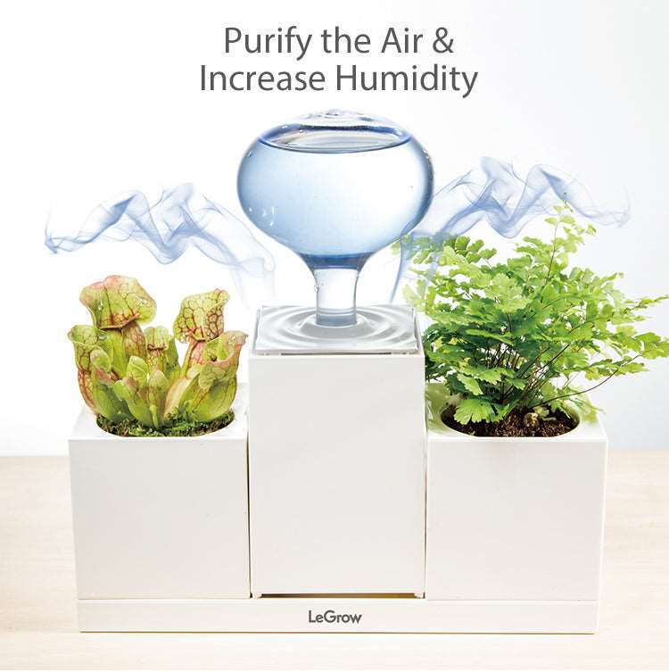 plants that add humidity to the air Planter Set with Humidifier and Tray | LeGrow