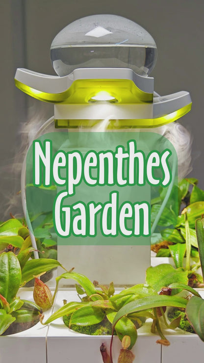 Nepenthes Carnivorous Garden |  LeGrow100 (10227)