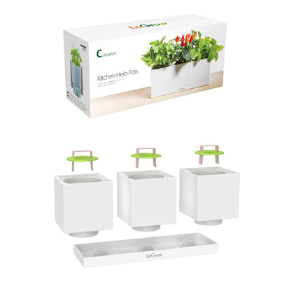 Windowsill Pot and Herb Planter, 7 Days Watering Free | LeGrow -C